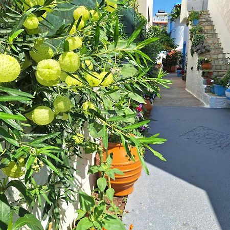 Βig Βlue Apartments Makry Gialos  Exterior photo