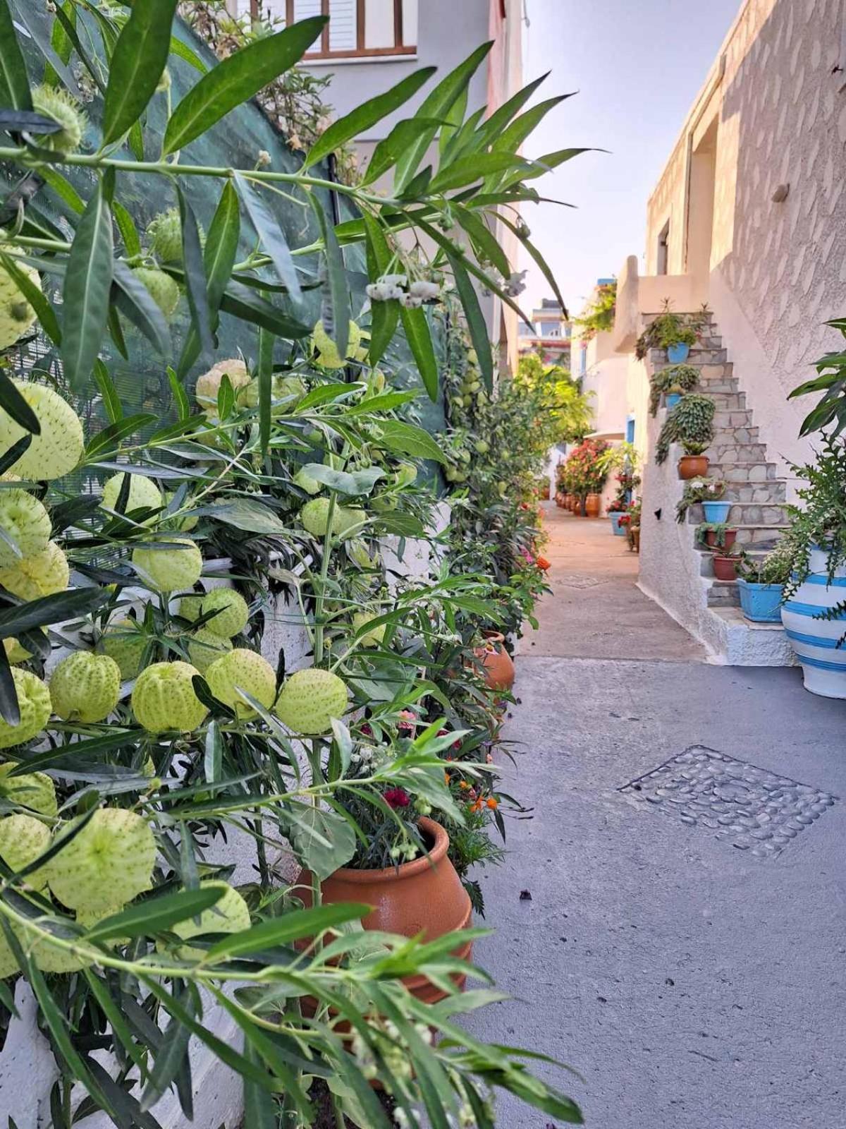 Βig Βlue Apartments Makry Gialos  Exterior photo