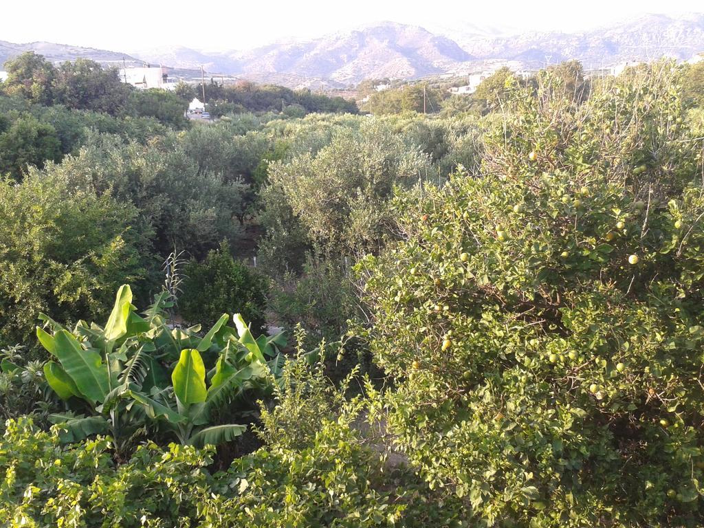 Βig Βlue Apartments Makry Gialos  Room photo